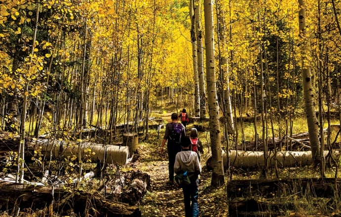 Weekend in Pagosa Springs: 2-Day Itinerary [2026]