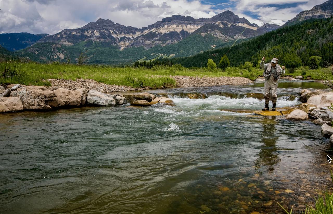 Fly Fishing in Pagosa Springs: Gold Medal Waters Guide